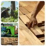 Ecotopia Teak lleva la teca panameña certificada FSC® a Maderalia 2026